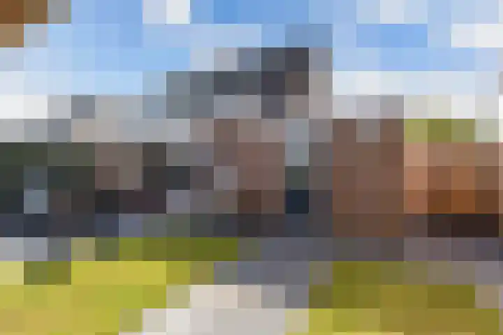 Baalder 9 Delfstrahuizen thumbnail 37