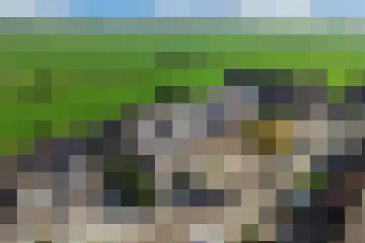 Baalder 9 Delfstrahuizen thumbnail 4