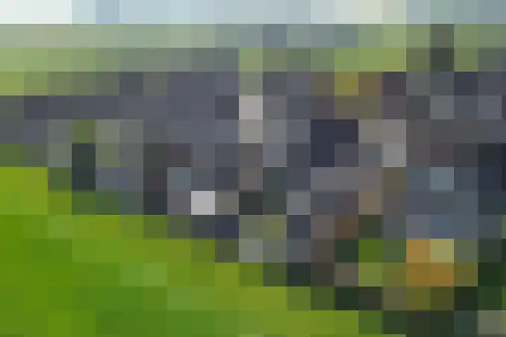 Baalder 9 Delfstrahuizen thumbnail 40