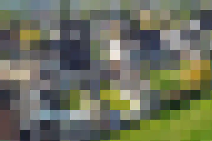 Baalder 9 Delfstrahuizen thumbnail 41