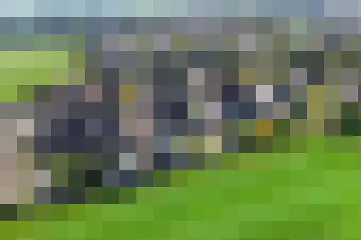 Baalder 9 Delfstrahuizen thumbnail 42