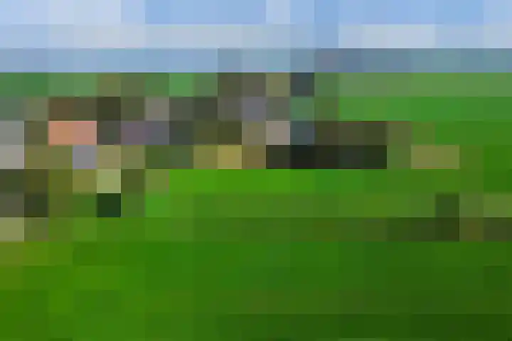 Baalder 9 Delfstrahuizen thumbnail 43
