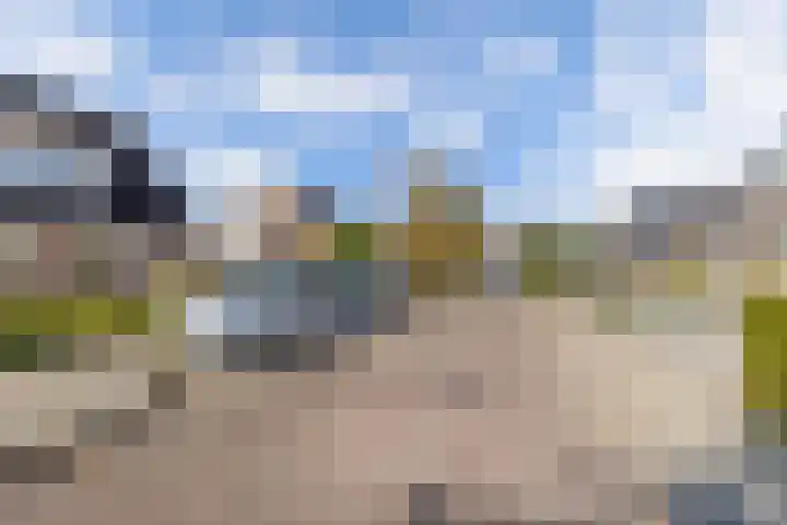 Baalder 9 Delfstrahuizen thumbnail 47