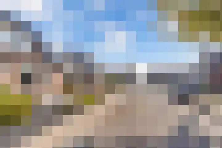 Baalder 9 Delfstrahuizen thumbnail 48