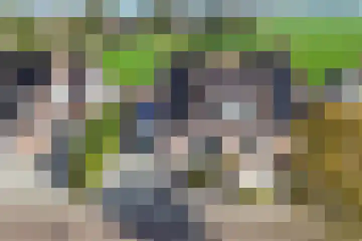 Baalder 9 Delfstrahuizen thumbnail 49