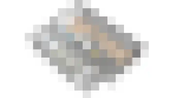 Baalder 9 Delfstrahuizen thumbnail 54