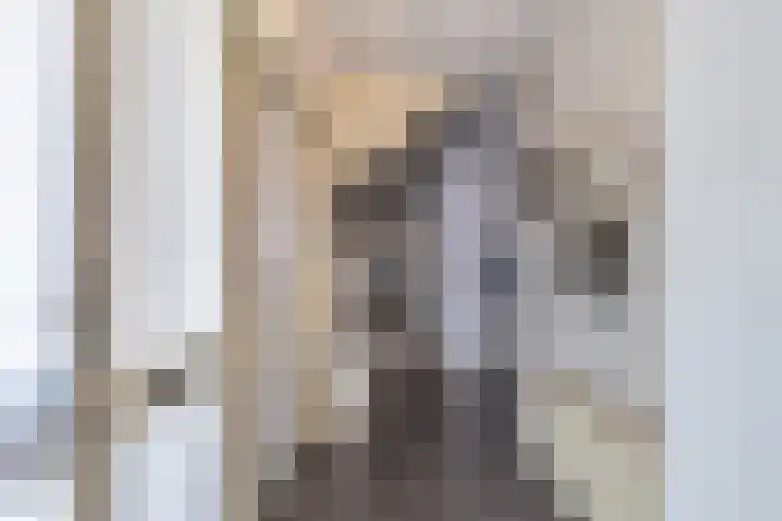 Baalder 9 Delfstrahuizen thumbnail 6