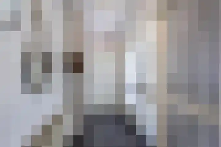 Baalder 9 Delfstrahuizen thumbnail 7