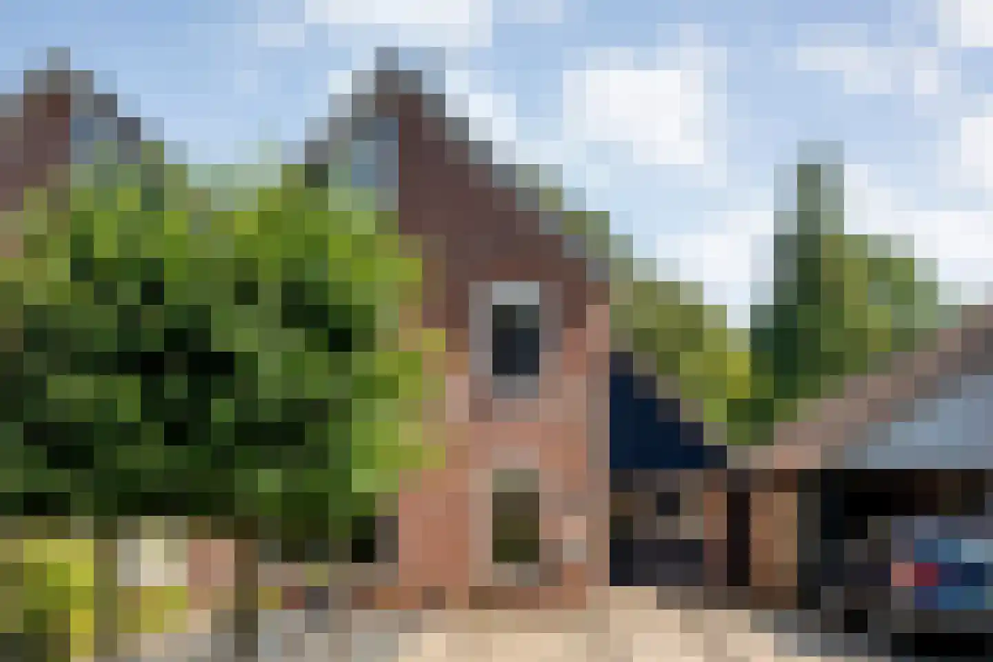 Baalder-Esch 107 Hardenberg thumbnail 42
