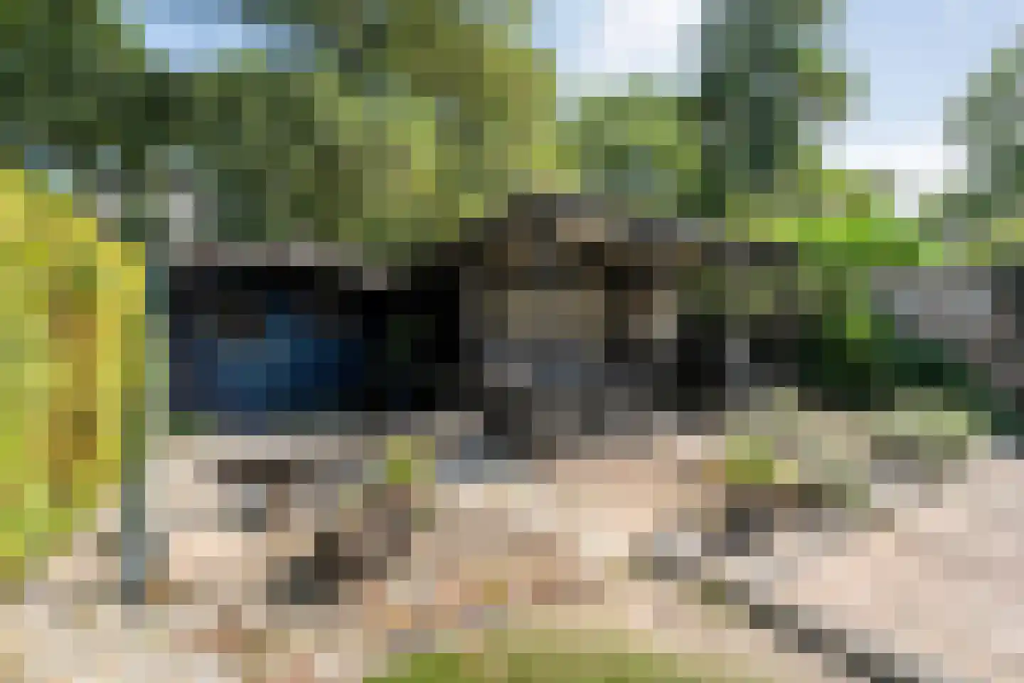 Baalder-Esch 107 Hardenberg thumbnail 48
