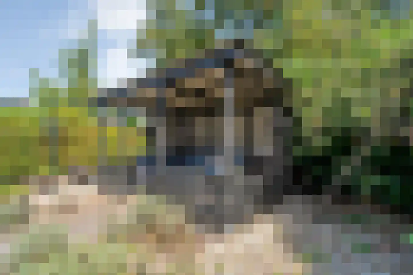 Baalder-Esch 107 Hardenberg thumbnail 52