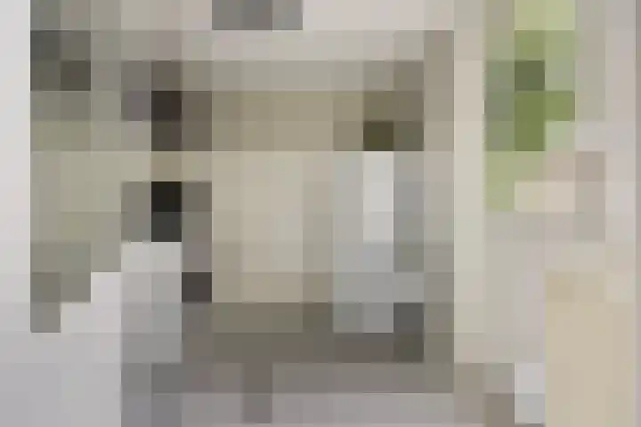 Baalder-Esch 113 Hardenberg thumbnail 16