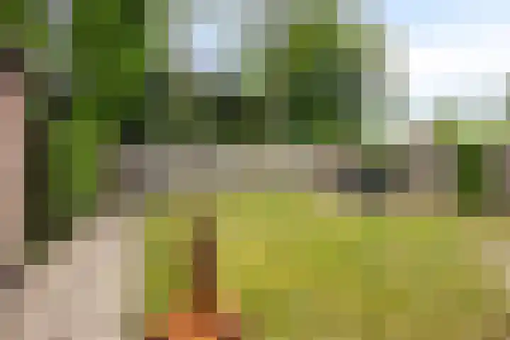 Baalder-Esch 113 Hardenberg thumbnail 34