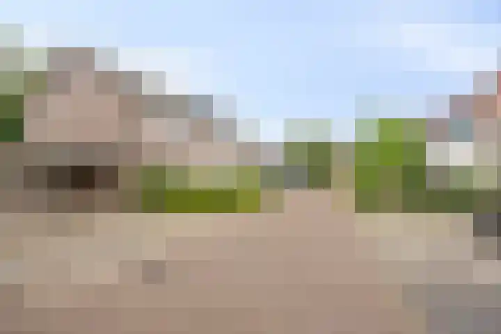Baalder-Esch 113 Hardenberg thumbnail 4