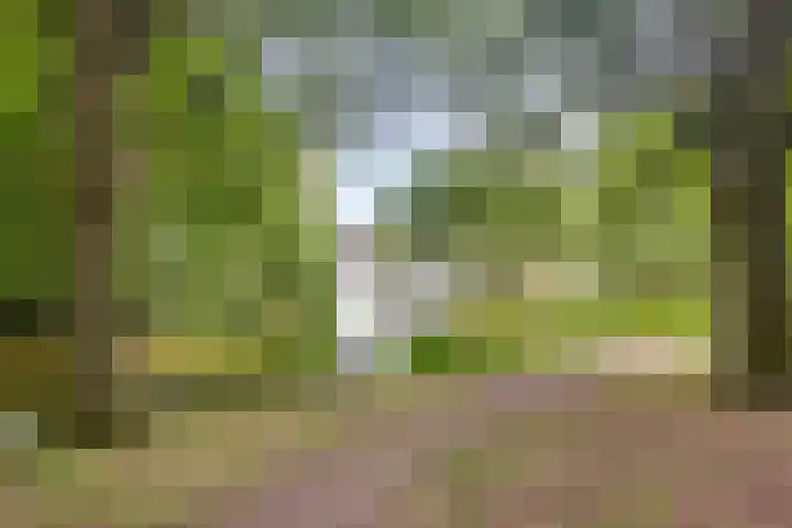 Baalder-Esch 113 Hardenberg thumbnail 40