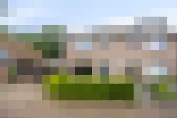Baalder-Esch 113 Hardenberg thumbnail 5