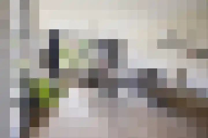 Baalder-Esch 113 Hardenberg thumbnail 7