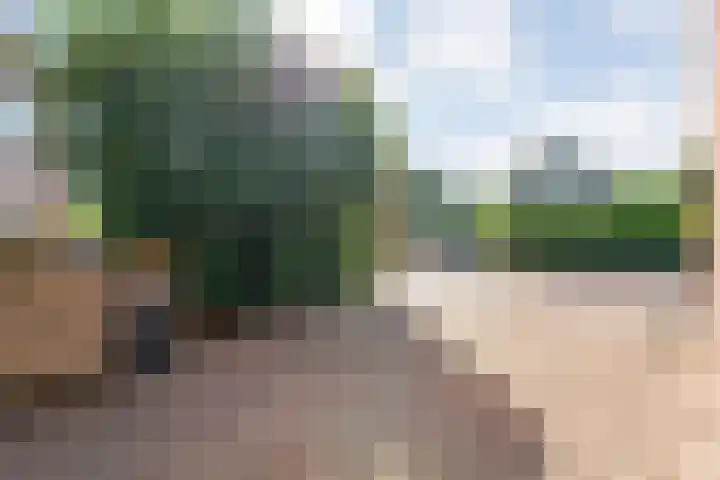 Baalder-Esch 133 Hardenberg thumbnail 11