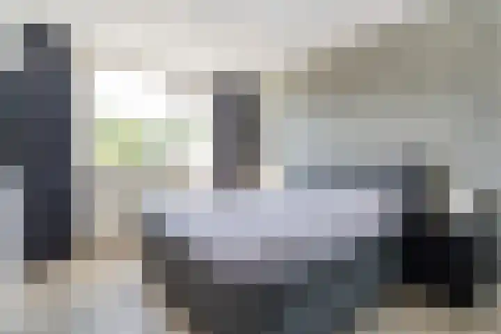 Baalder-Esch 133 Hardenberg thumbnail 33