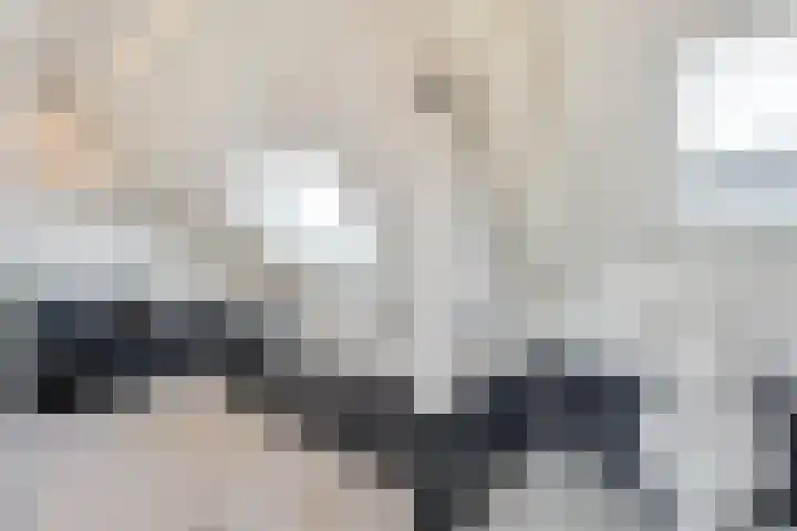 Baalder-Esch 133 Hardenberg thumbnail 37