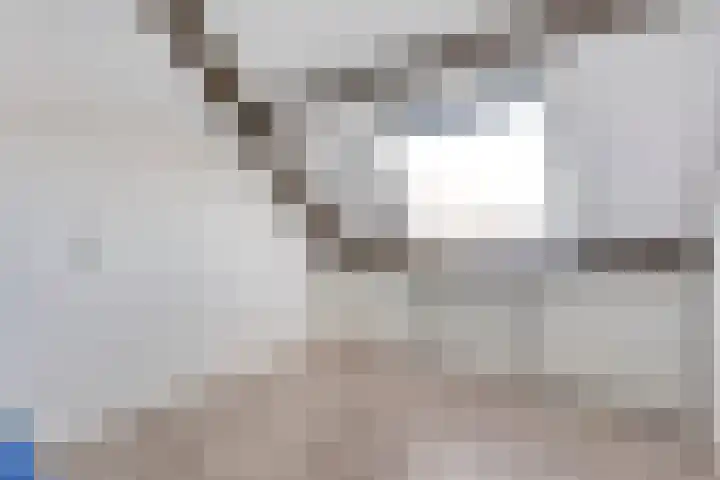 Baalder-Esch 133 Hardenberg thumbnail 45