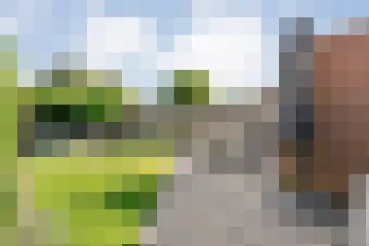 Baalder-Esch 133 Hardenberg thumbnail 47