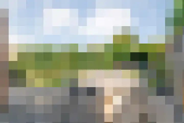 Baalder-Esch 133 Hardenberg thumbnail 49