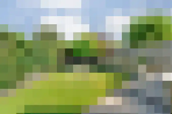 Baalder-Esch 133 Hardenberg thumbnail 50