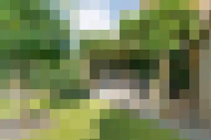 Baalder-Esch 133 Hardenberg thumbnail 51