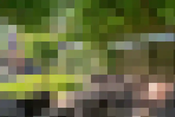 Baalder-Esch 133 Hardenberg thumbnail 53