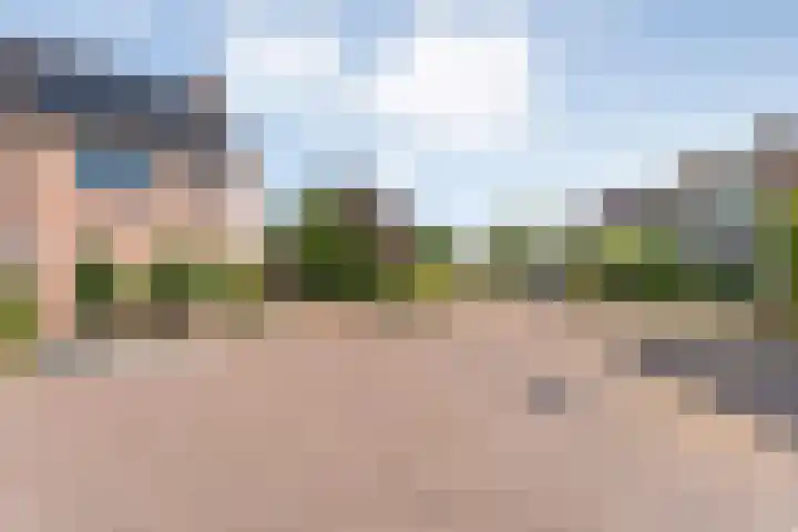 Baalder-Esch 133 Hardenberg thumbnail 6