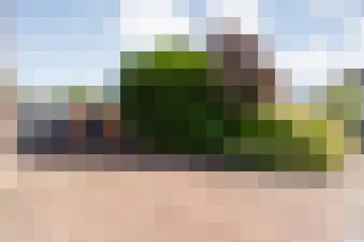 Baalder-Esch 133 Hardenberg thumbnail 8