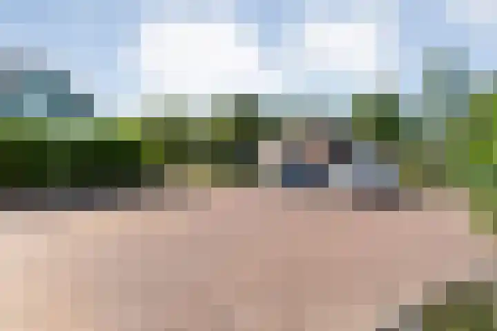 Baalder-Esch 133 Hardenberg thumbnail 9