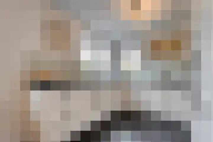 Baalder-Esch 145 Hardenberg thumbnail 15
