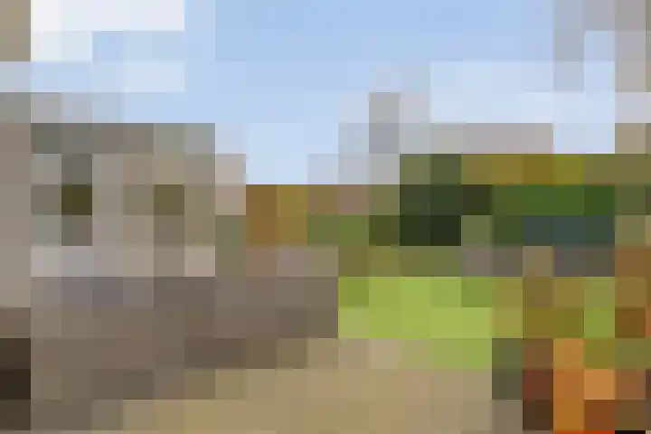 Baalder-Esch 145 Hardenberg thumbnail 30