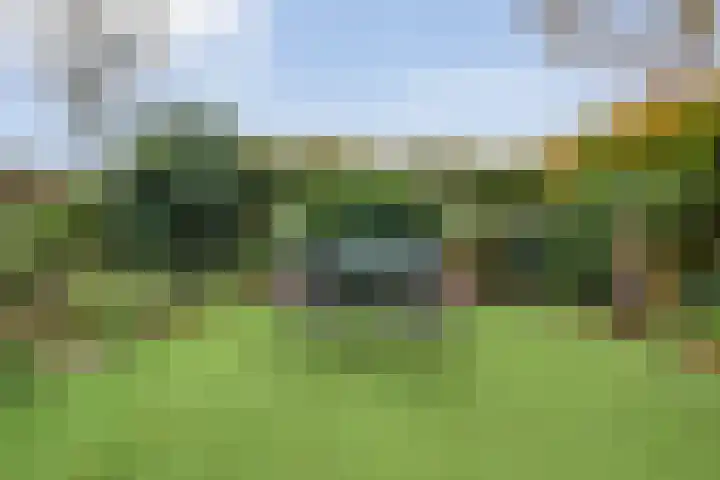 Baalder-Esch 145 Hardenberg thumbnail 31
