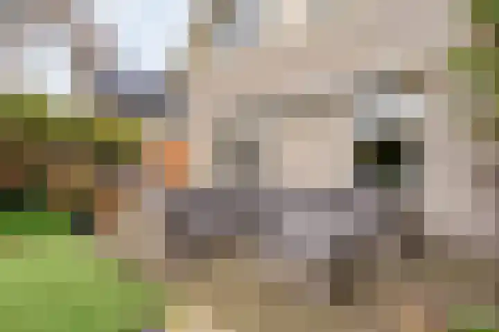 Baalder-Esch 145 Hardenberg thumbnail 32