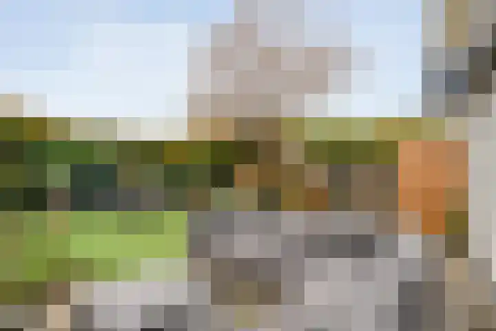 Baalder-Esch 145 Hardenberg thumbnail 33