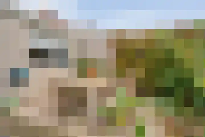 Baalder-Esch 145 Hardenberg thumbnail 34