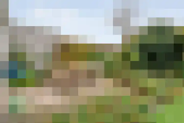 Baalder-Esch 145 Hardenberg thumbnail 35