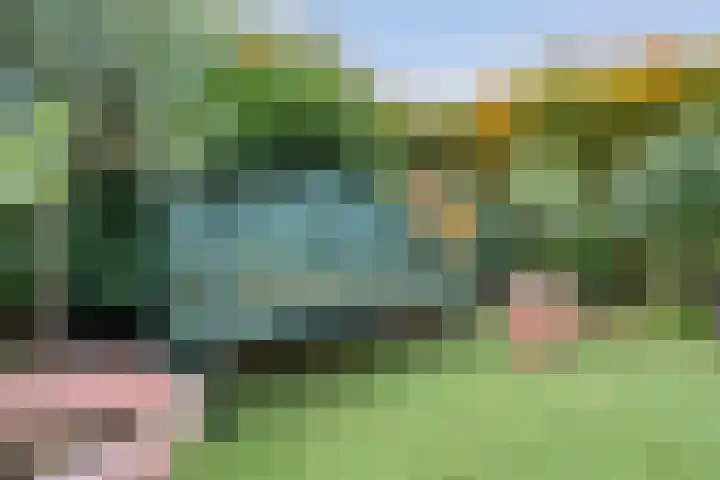 Baalder-Esch 145 Hardenberg thumbnail 36