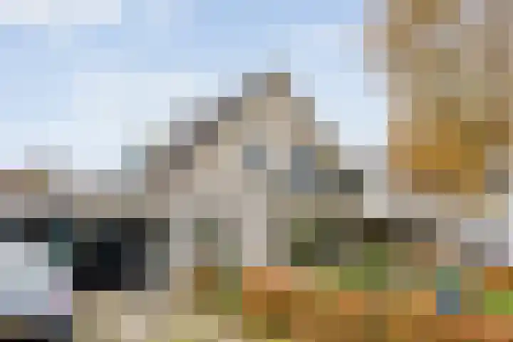 Baalder-Esch 145 Hardenberg thumbnail 38