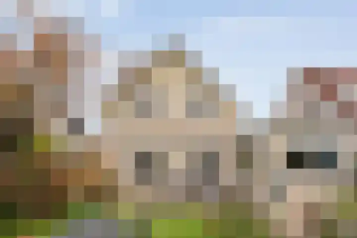 Baalder-Esch 145 Hardenberg thumbnail 4