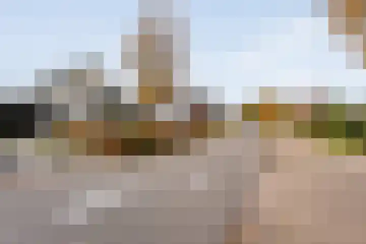 Baalder-Esch 145 Hardenberg thumbnail 41