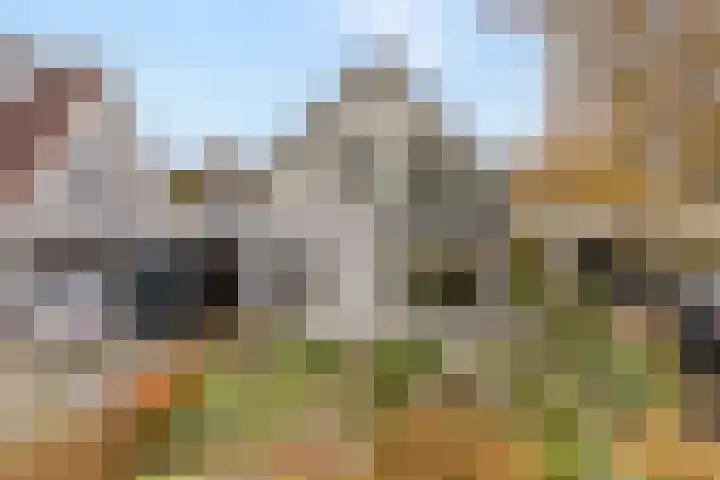 Baalder-Esch 145 Hardenberg thumbnail 5