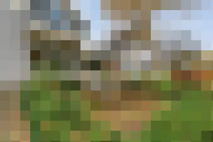 Baalder-Esch 145 Hardenberg thumbnail 6