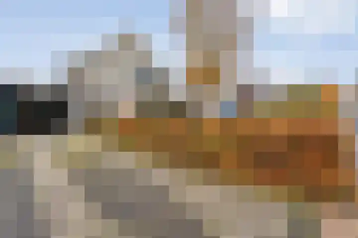 Baalder-Esch 145 Hardenberg thumbnail 7