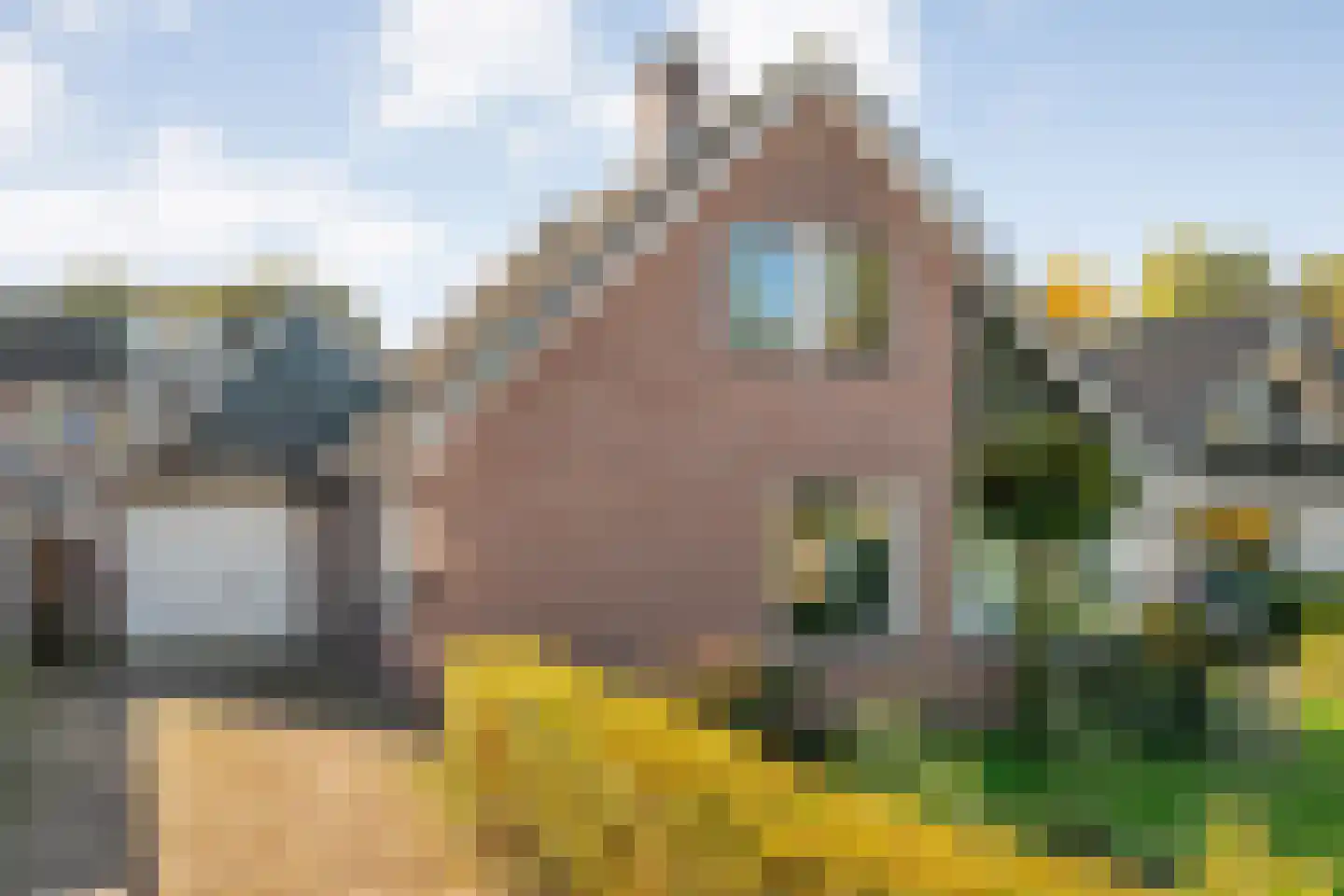 Baalder-Esch 155 Hardenberg