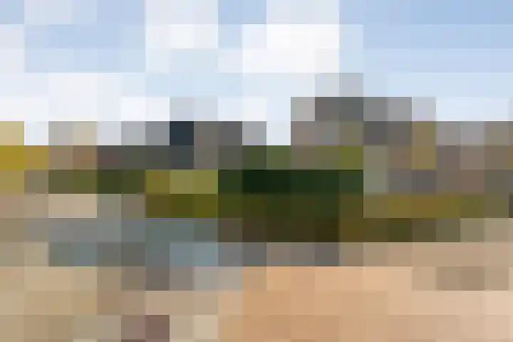 Baalder-Esch 155 Hardenberg thumbnail 4