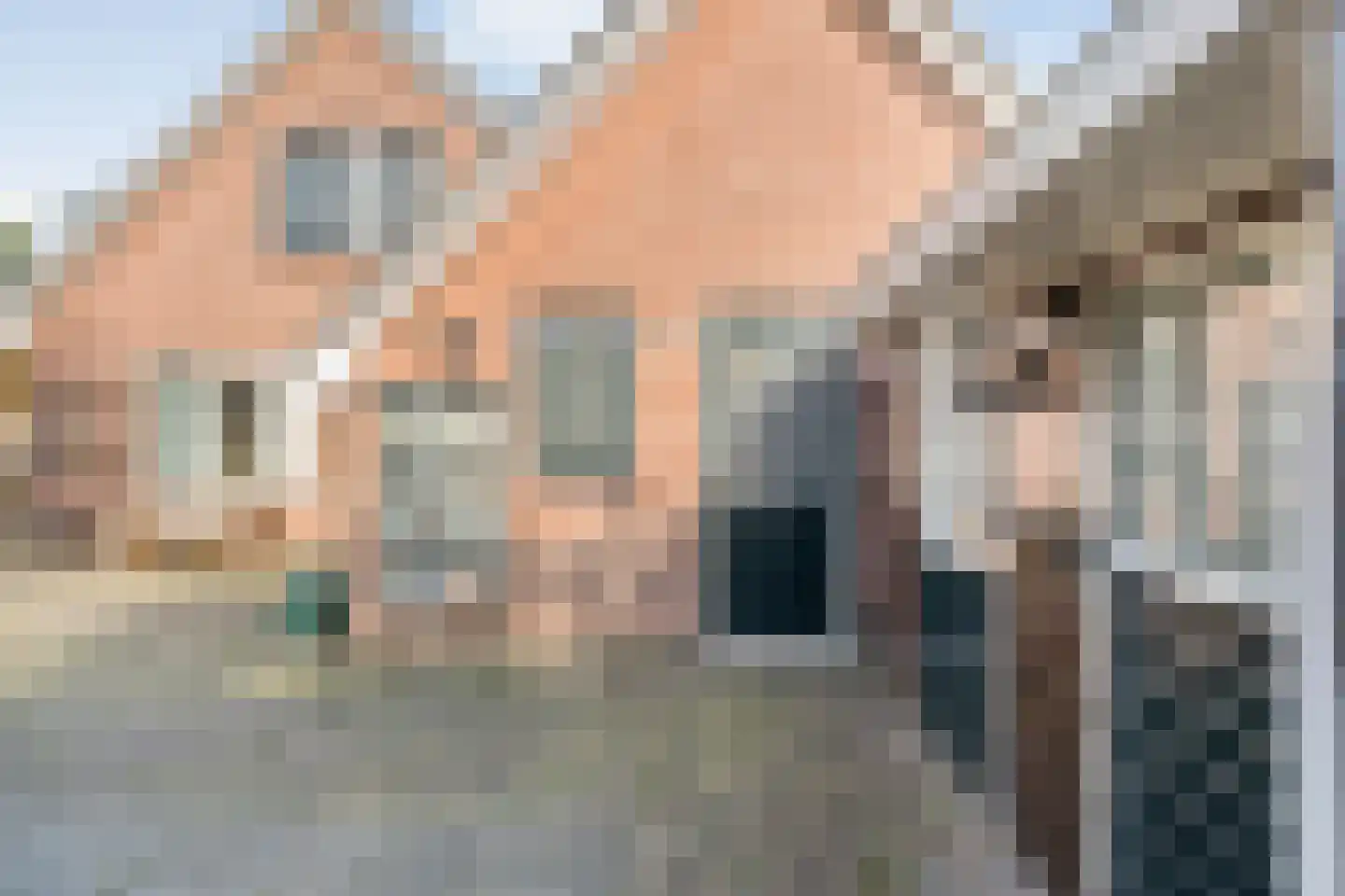 Baalder-Esch 155 Hardenberg thumbnail 42